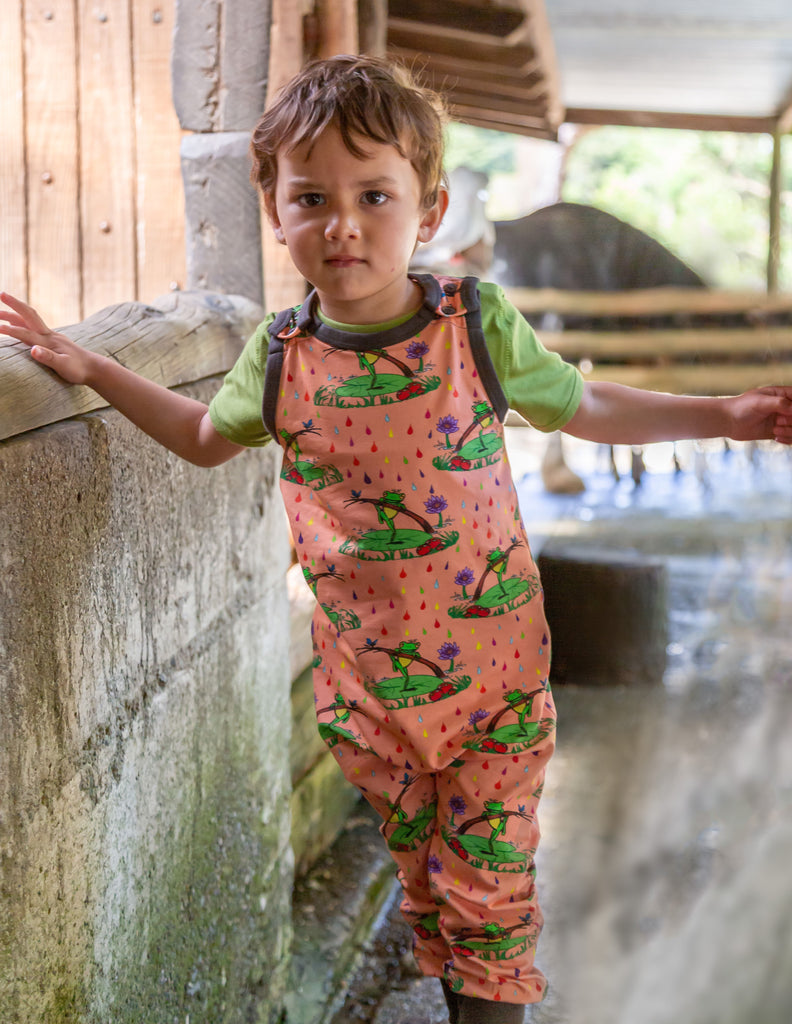Rupert in the Rainbow Rain | Overalls