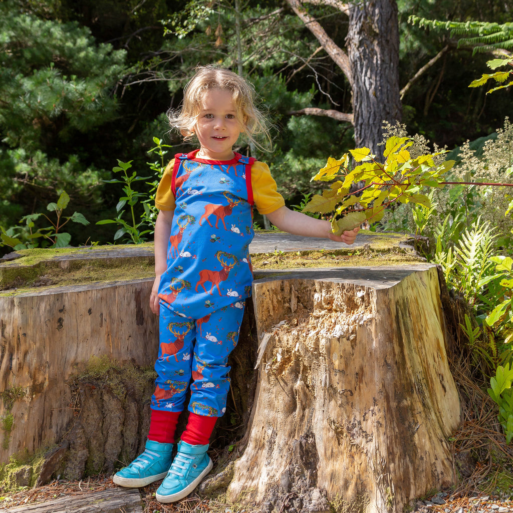 Cedar in the Berry Bush | Overalls