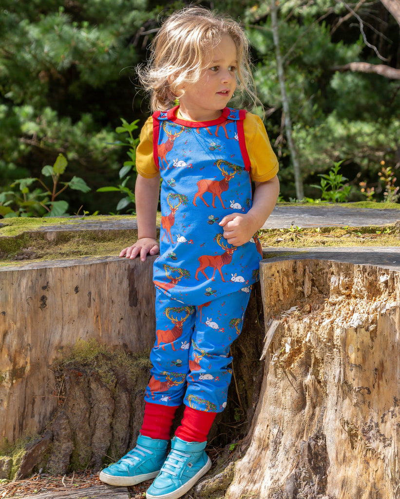 Cedar in the Berry Bush | Overalls