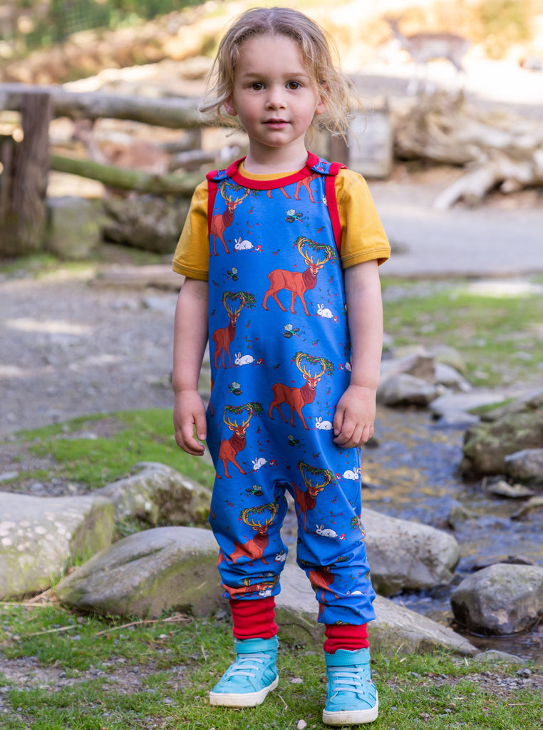 Cedar in the Berry Bush | Overalls