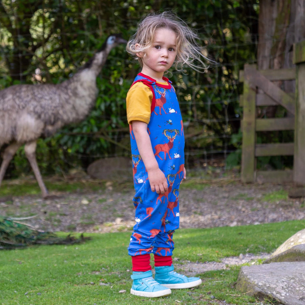 Cedar in the Berry Bush | Overalls