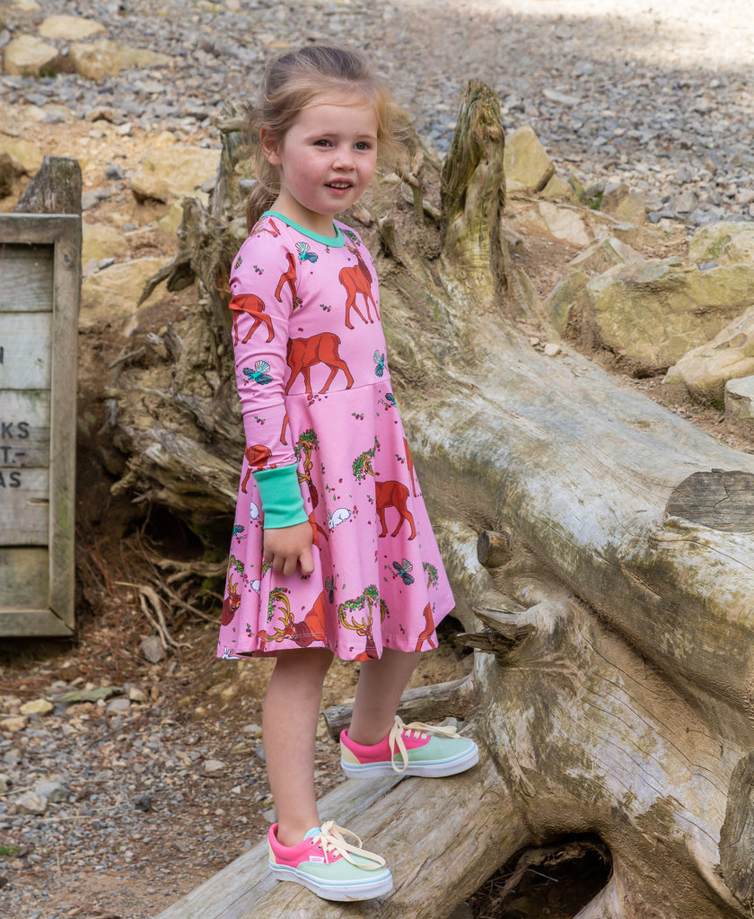 Cedar in the Berry Bush | Twirl dress long sleeve