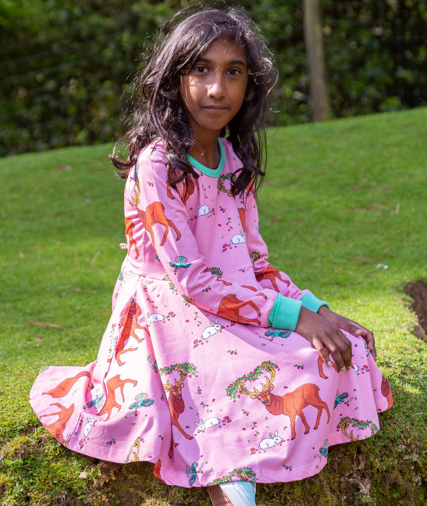 Cedar in the Berry Bush | Twirl dress long sleeve
