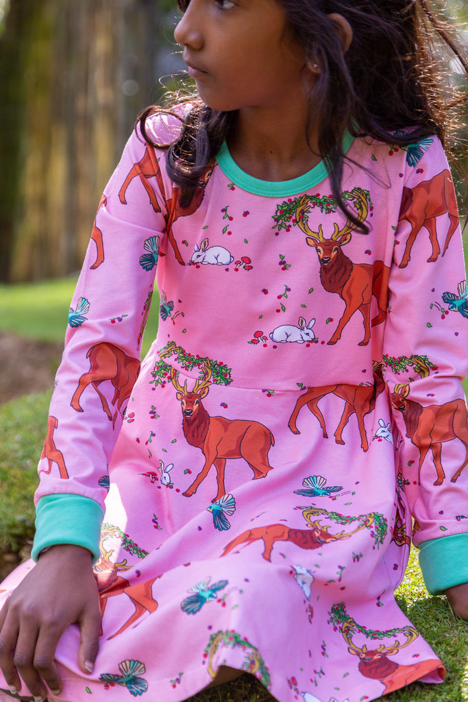 Cedar in the Berry Bush | Twirl dress long sleeve