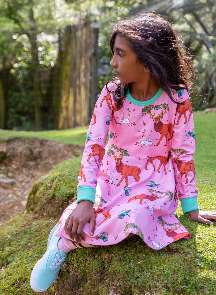 Cedar in the Berry Bush | Twirl dress long sleeve