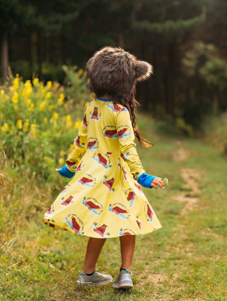 Bruno under the Rainbow | Twirl dress