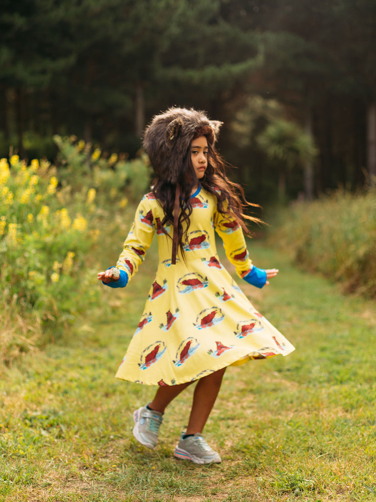 Bruno under the Rainbow | Twirl dress