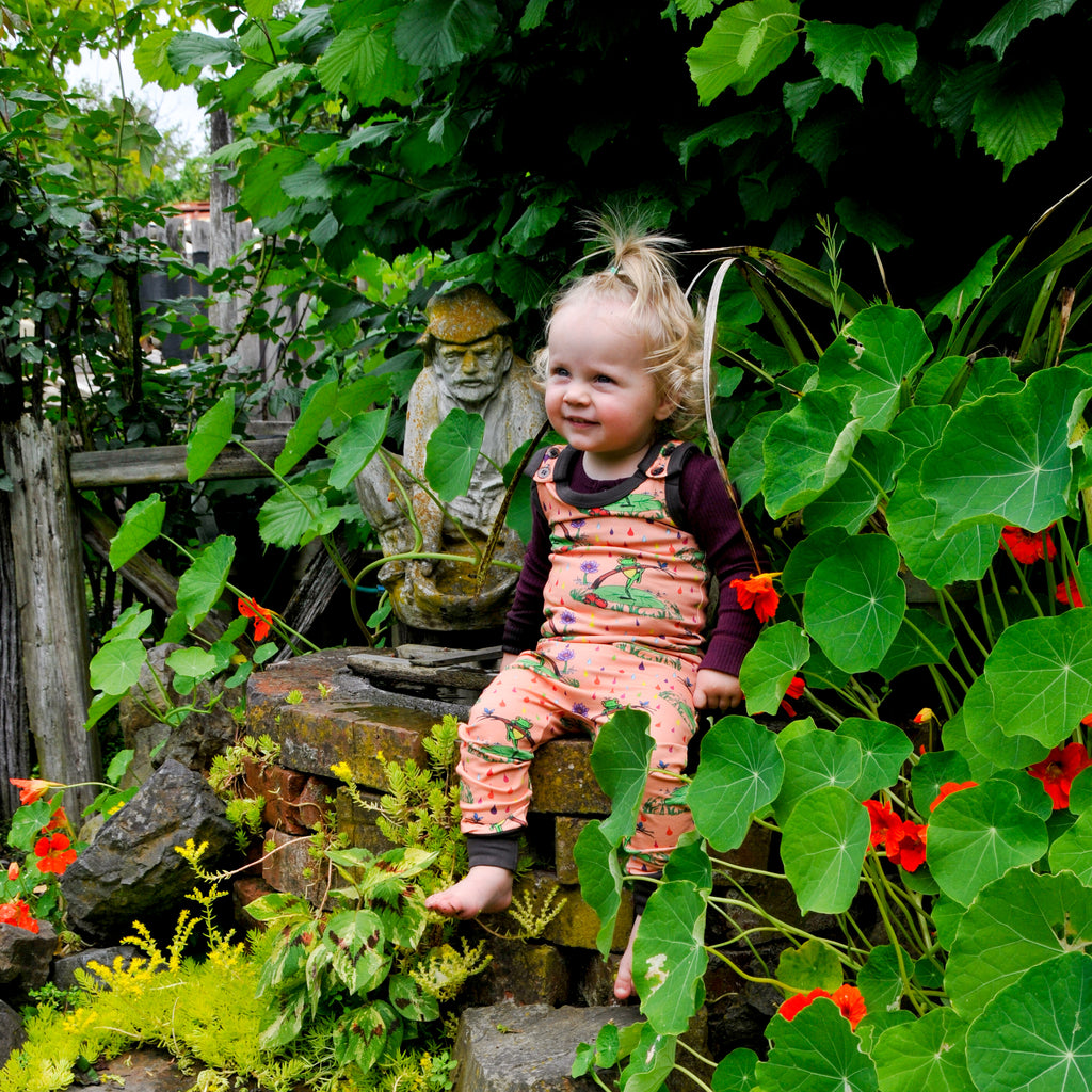 Rupert in the Rainbow Rain | Overalls