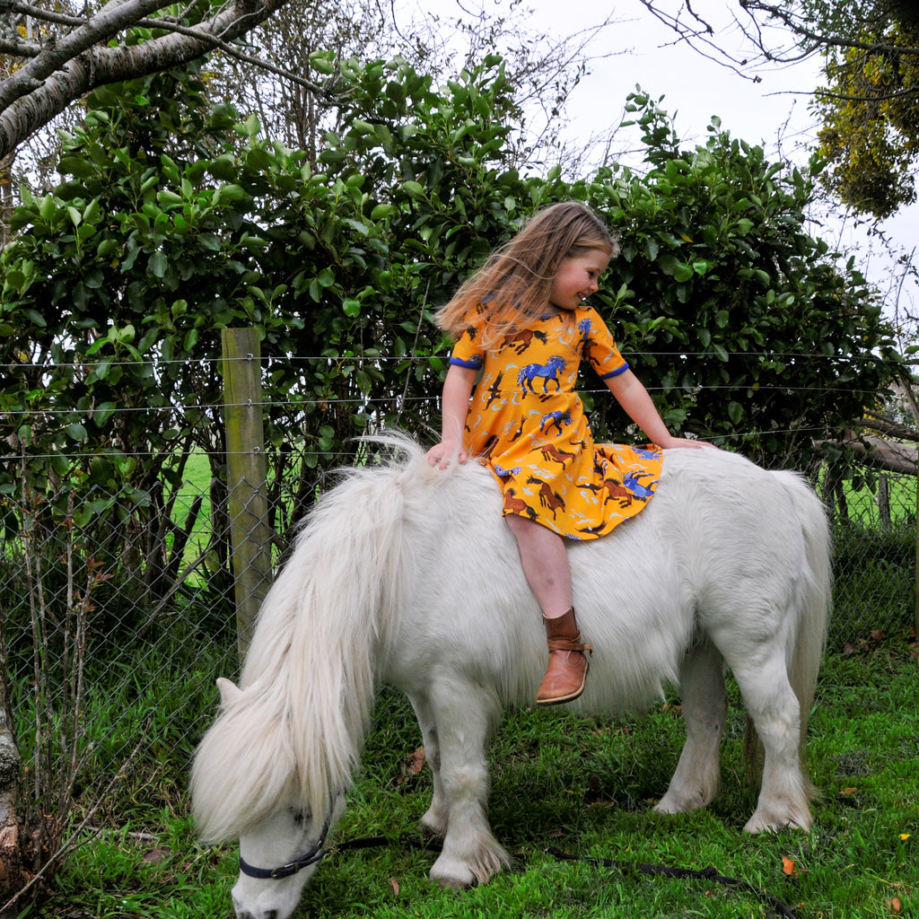 Storm - Leader of the Wild Herd | Twirl dress