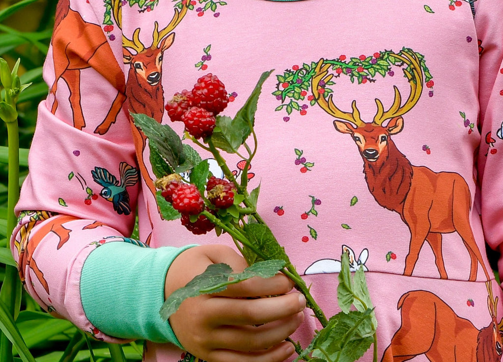 Cedar in the Berry Bush | Twirl dress long sleeve