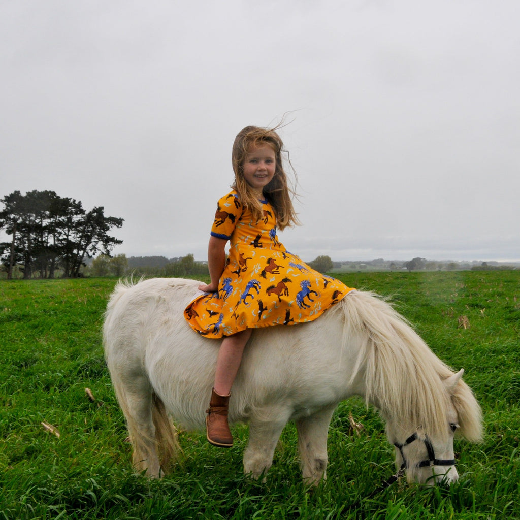 Storm - Leader of the Wild Herd | Twirl dress