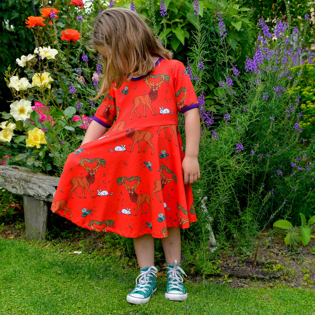 Cedar in the Berry Bush | Twirl dress