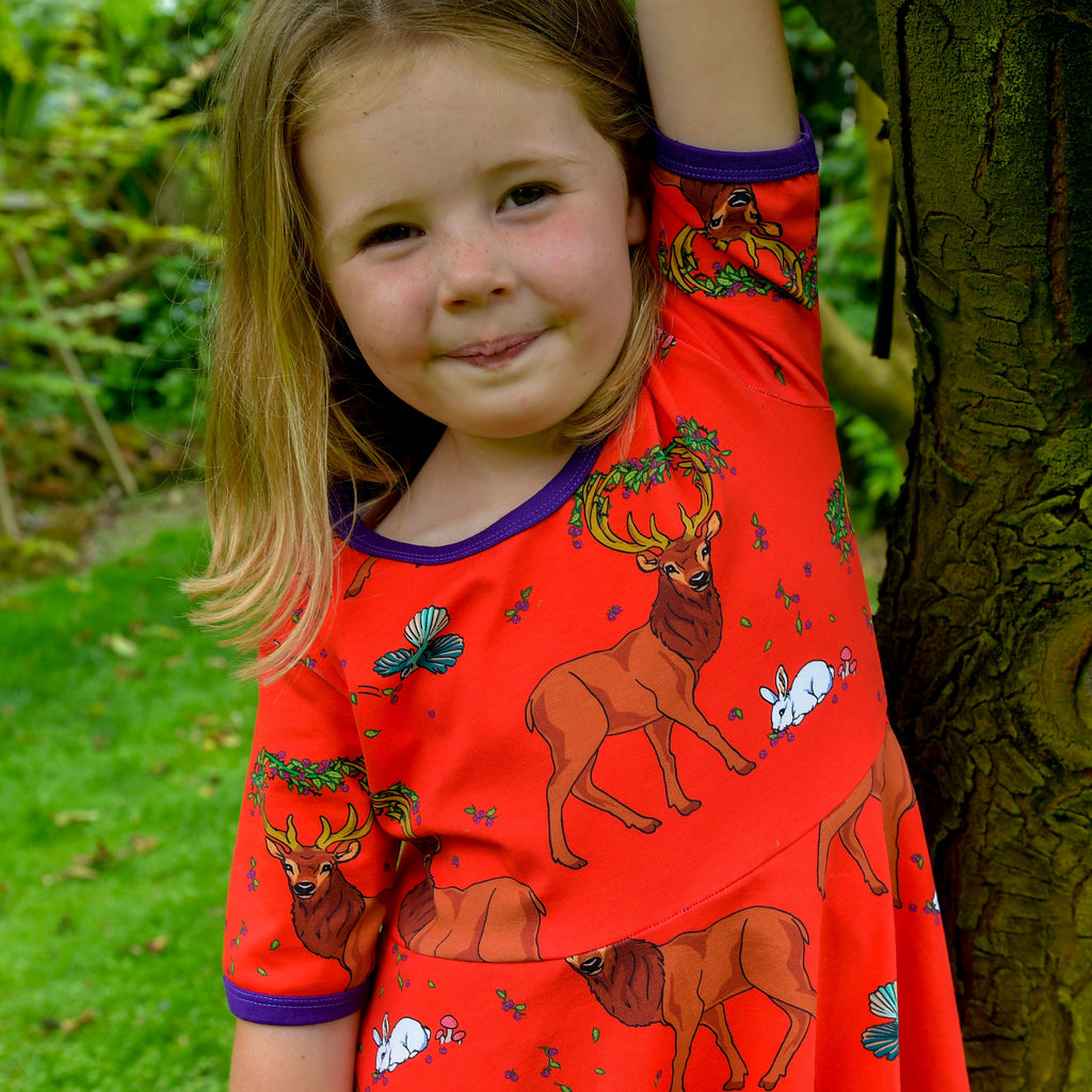 Cedar in the Berry Bush | Twirl dress