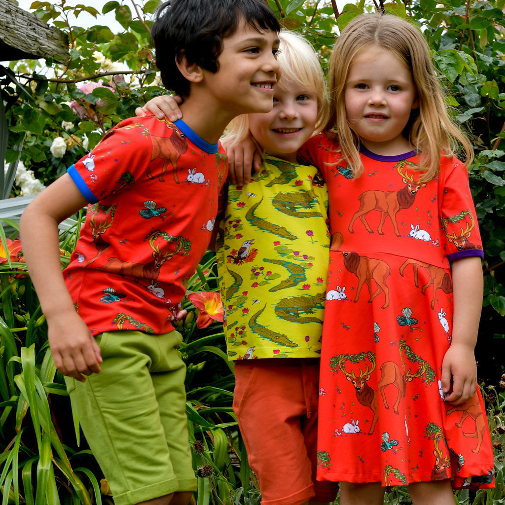 Cedar in the Berry Bush | Twirl dress