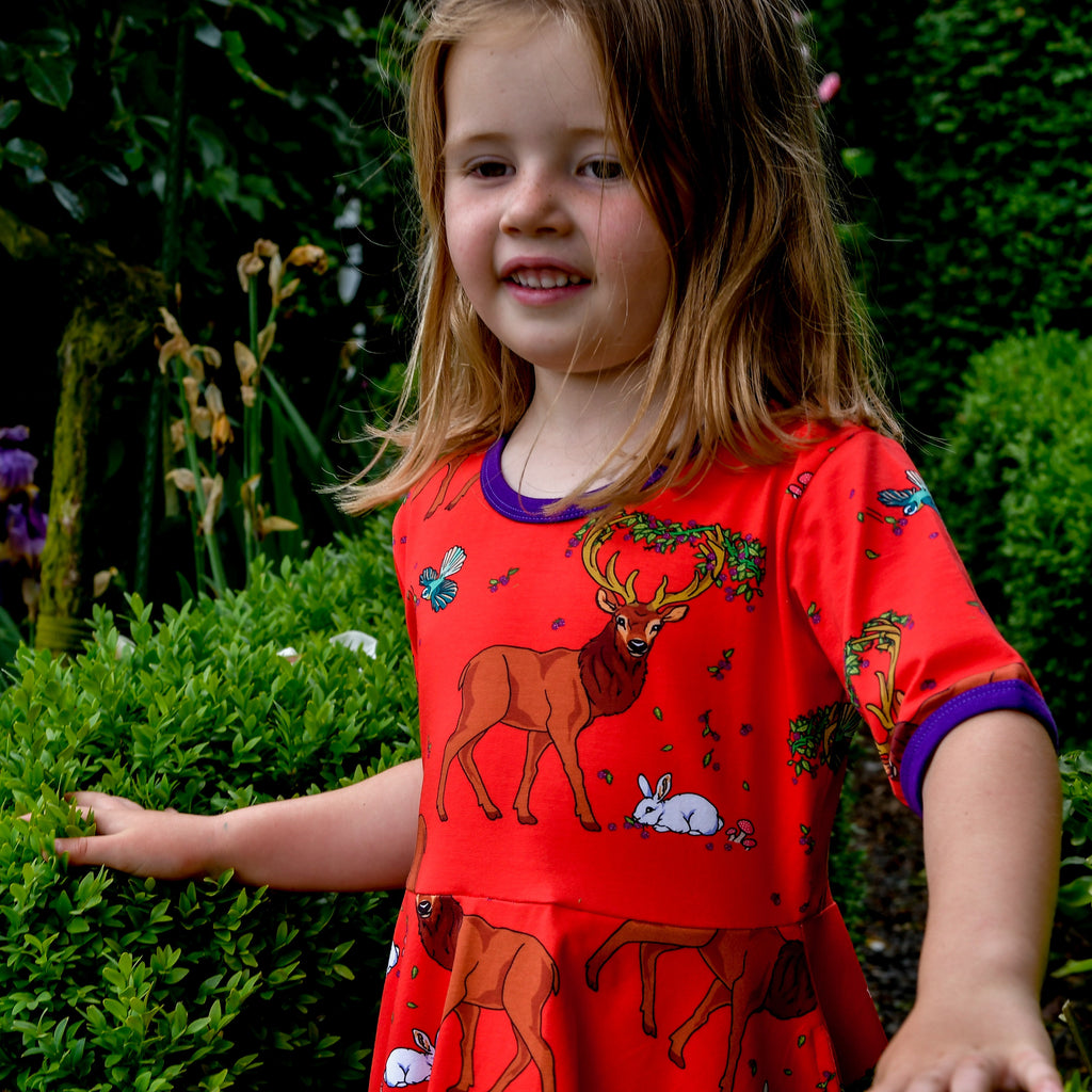 Cedar in the Berry Bush | Twirl dress
