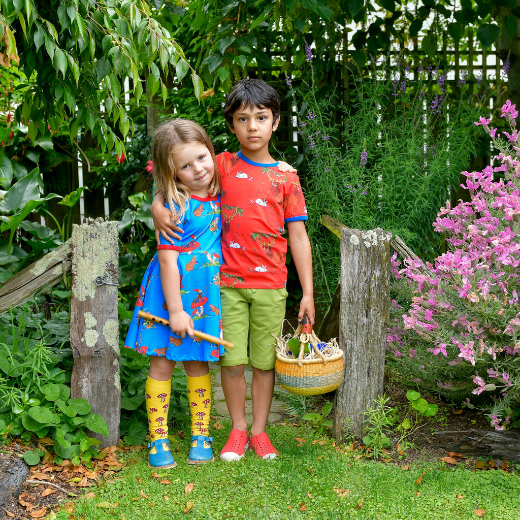 Basil the Curious Gnome | Short sleeve twirl dress