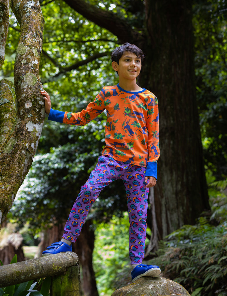 Rainbow Leopard Print Spots | Climber pants