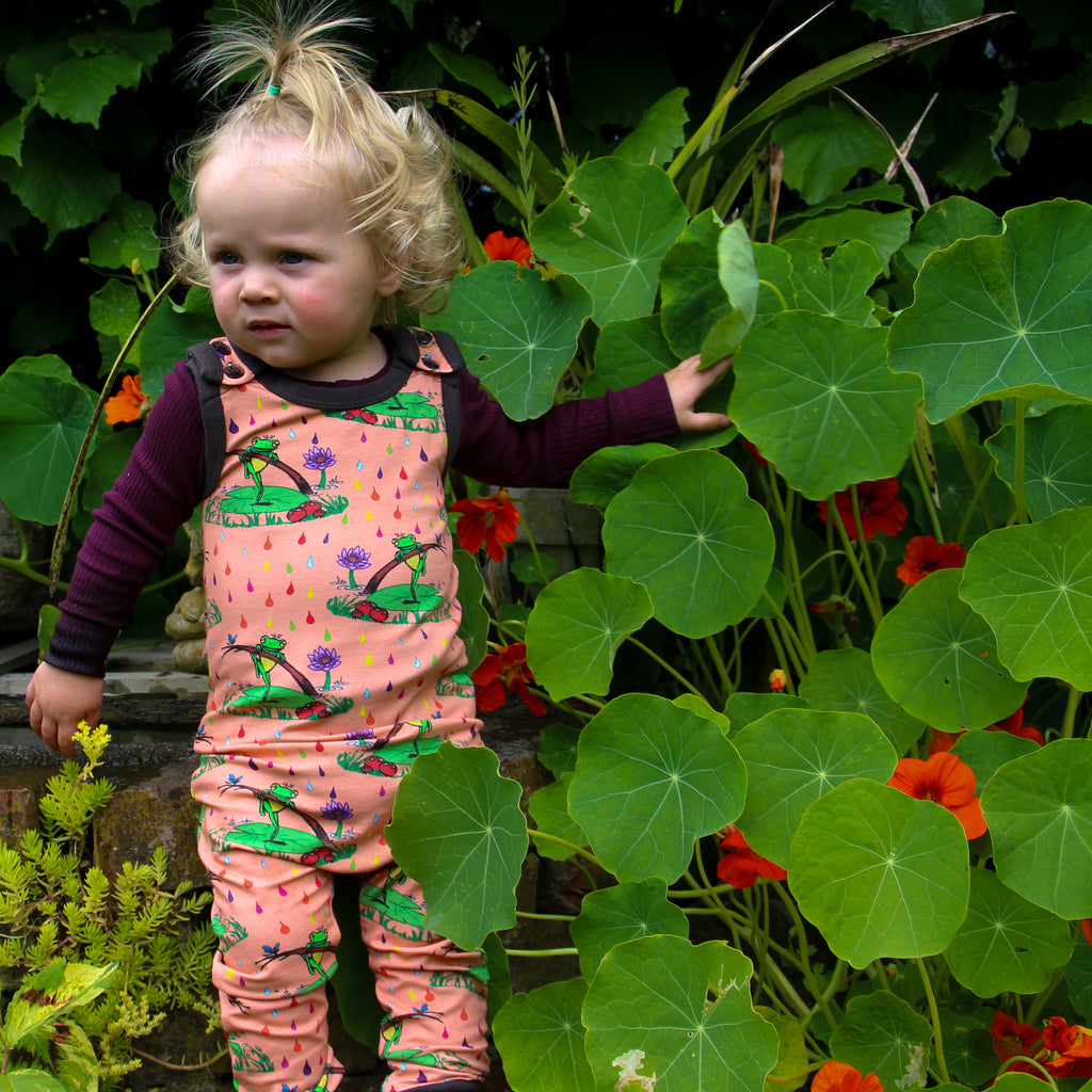 Rupert in the Rainbow Rain | Overalls