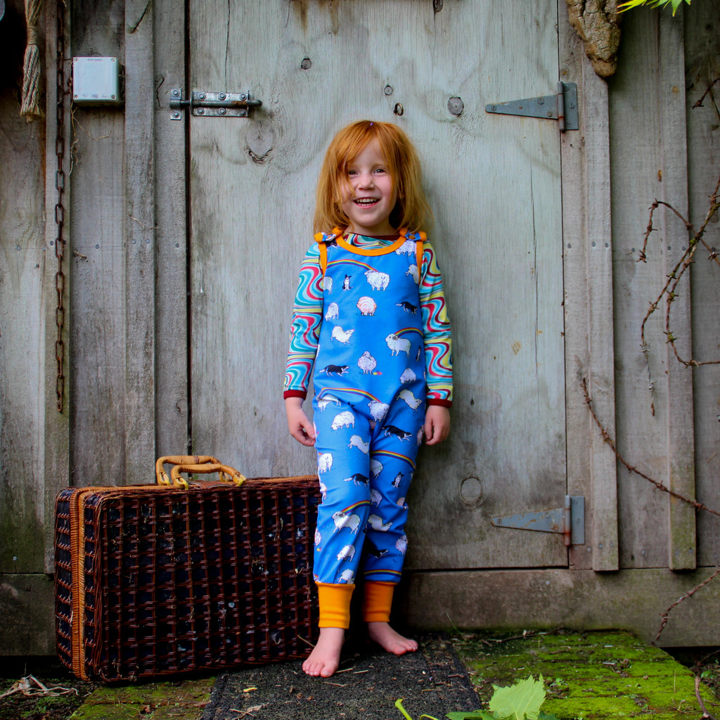Rainbow Sheep | Overalls