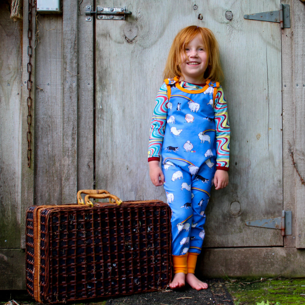 Rainbow Sheep | Overalls