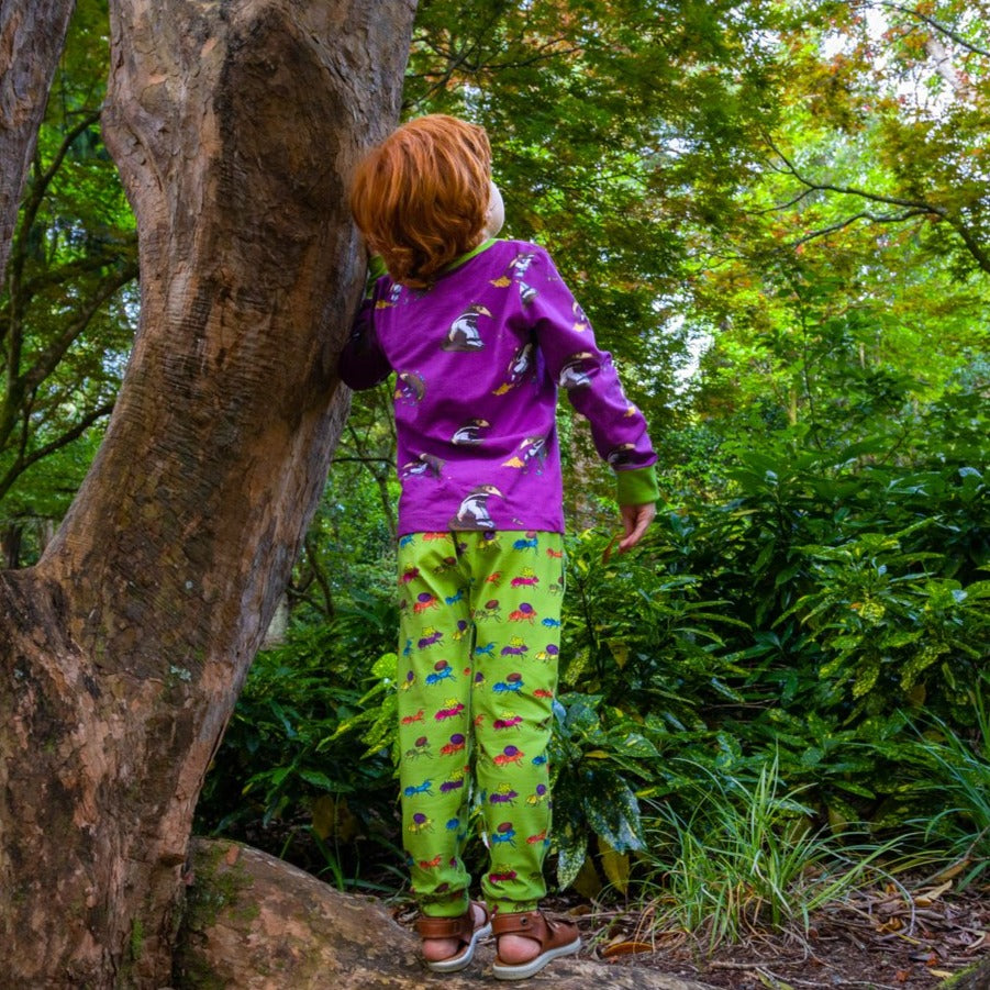 Rainbow Ants | Climber pants