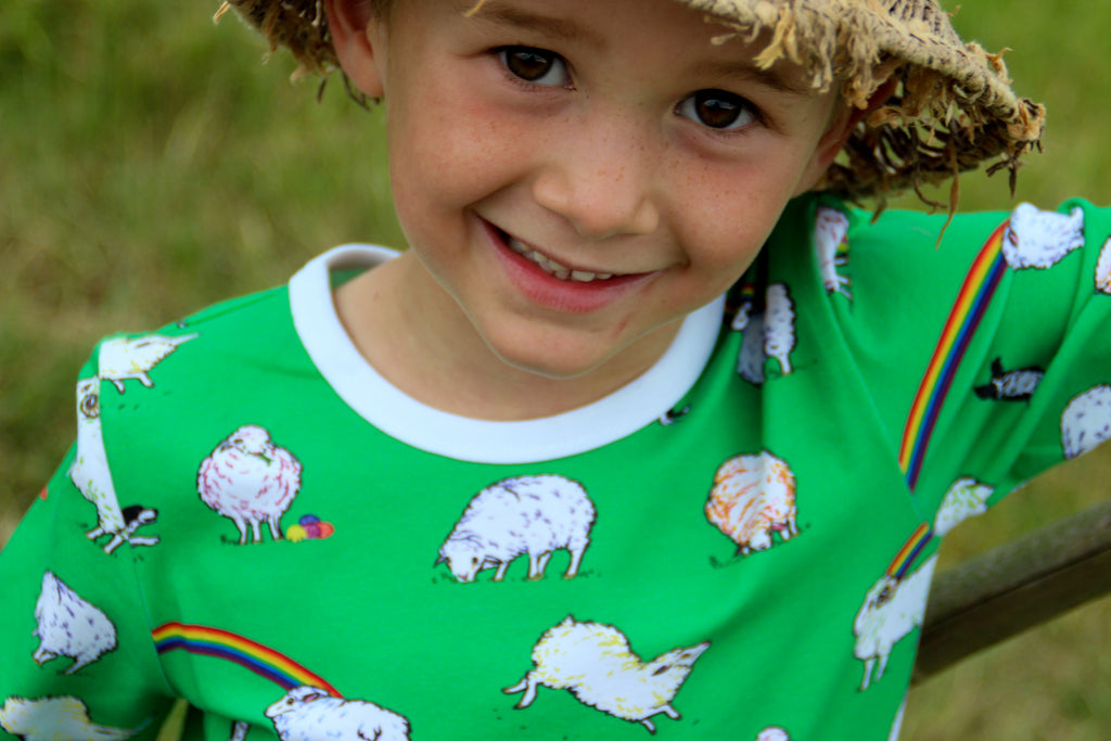 Rainbow Sheep | Long Sleeve top