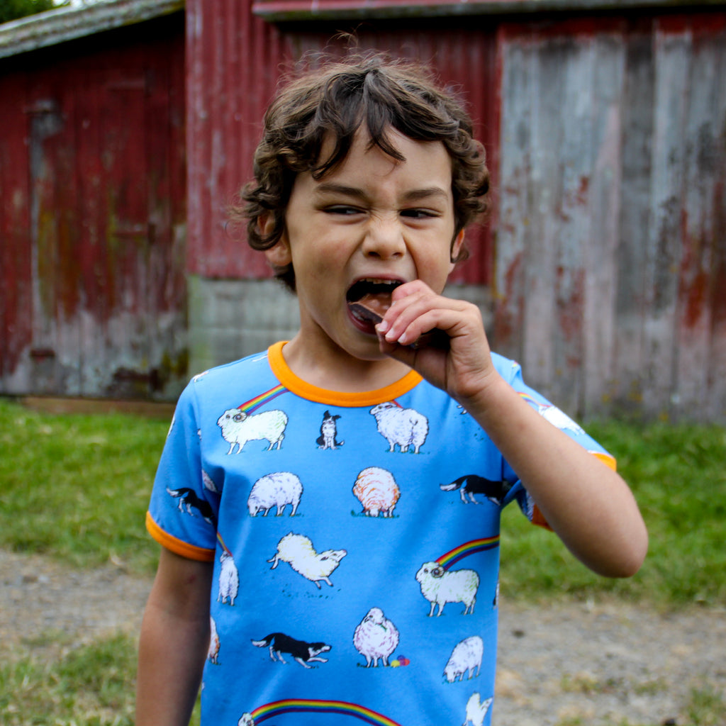 The Rainbow Sheep | Tee