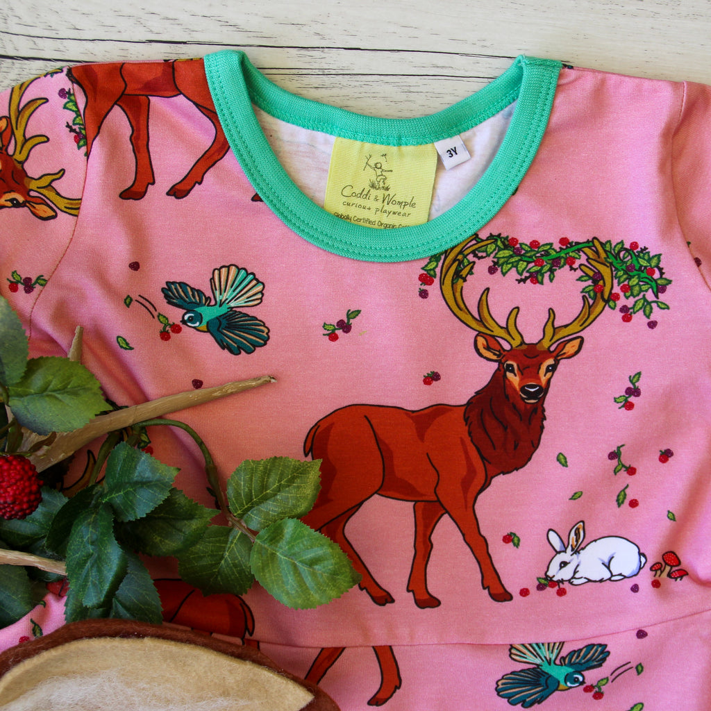 Cedar in the Berry Bush | Twirl dress long sleeve